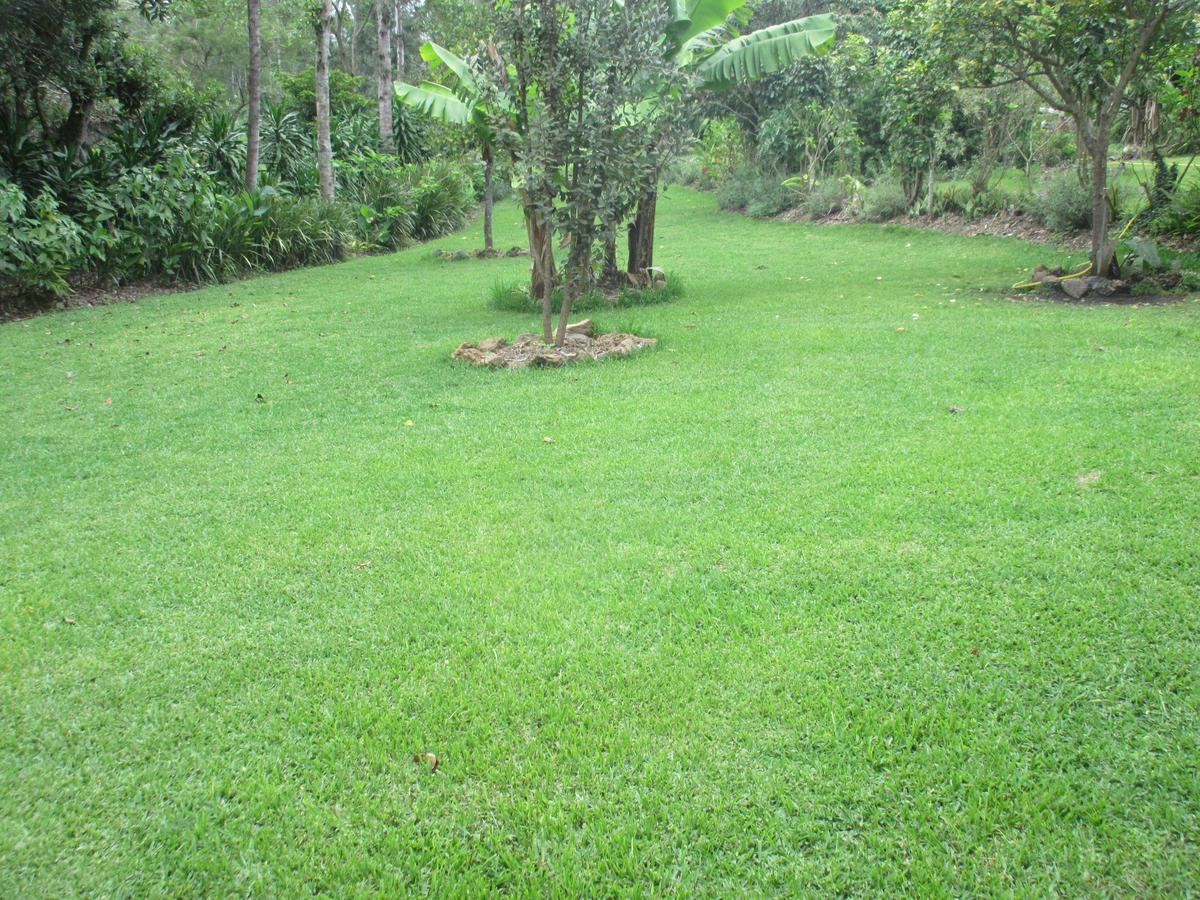 Kilimanjaro Eco Lodge Usa River Εξωτερικό φωτογραφία