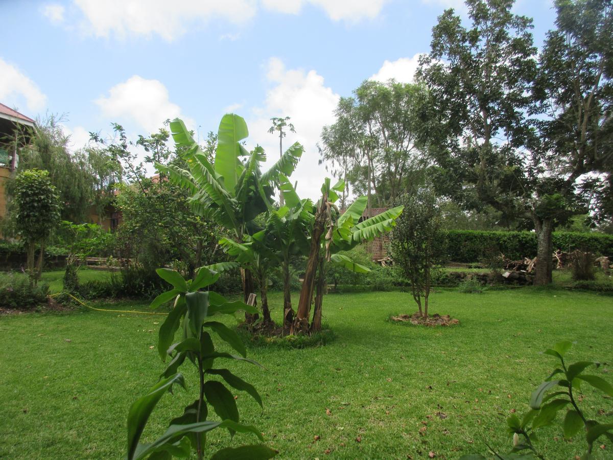 Kilimanjaro Eco Lodge Usa River Εξωτερικό φωτογραφία